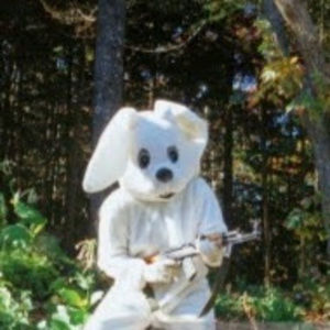 Meet your Posher, Clara